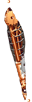 http://de.ohmydollz.com/img/big/113385.png