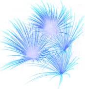 http://de.ohmydollz.com/img/big/115050.png