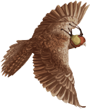 http://de.ohmydollz.com/img/big/115467.png