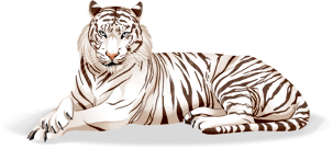 http://de.ohmydollz.com/img/big/30417.png