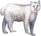 http://de.ohmydollz.com/img/big/98520.png