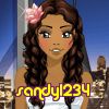 sandy1234