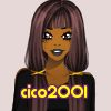cico2001