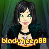 blacksheep88